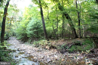 254 ACRES Camp Run Rd, Brandywine, WV 26802