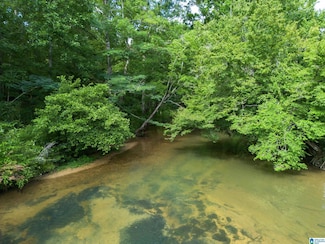 7286 Cherry Dr Unit 123 acres, Pinson, AL 35126