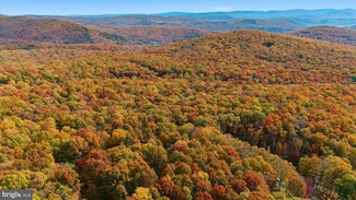 0 Lot 46 and 48 White Oak Pass, Mathias, WV 26812