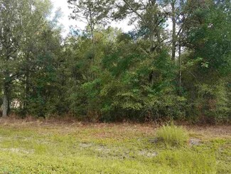 0 NE Gloriosa Ln Unit 274354, Lee, FL 32059