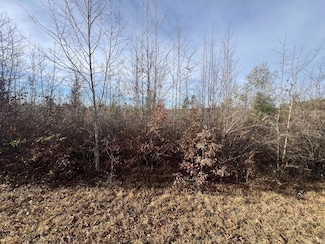 LOT5 Hephzibah Church Rd, Lincolnton, GA 30817