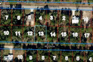 Lot 13 NE 12 Ln, Williston Highlands, FL 32696