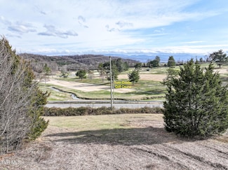 9 Ac Chuckey Hwy, Chuckey, TN 37641