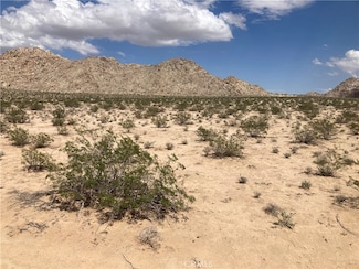 4500713 Wren Rd, Lucerne Valley, CA 92356