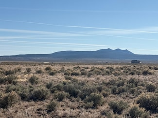 Tr 3D Bald Eagle Subdivision, Tres Piedras, NM 87577