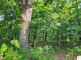 0 Rachael Place Unit Lot 2372 100470, Union Township, MO 65326