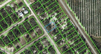 532 Morningside Dr, Lake Placid, FL 33852