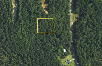 **TBD** County Highway 85, Burnt Corn, AL 36401
