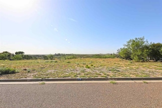 114 Songbird Ln, Laredo, TX 78045