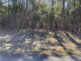 TBD SW 89 Cir, Ocala, FL 34473