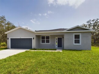16 Makaluka Pass Dr, Ocklawaha, FL 32179