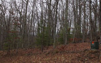 10 Thunder Rd, Hayesville, NC 28904