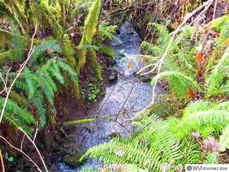 - Pleasant View Dr, Philomath, OR 97370