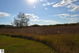 TBD North Dr, Shepherd, MI 48883