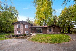 4150 Dudley Rd, Mantua, OH 44255