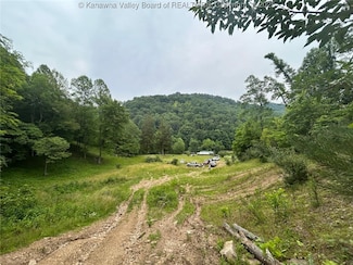 60 Margaret Dr, Chapmanville, WV 25508