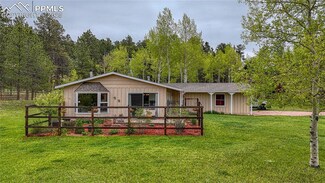 1451 Blackfoot Trail, Woodland Park, CO 80863