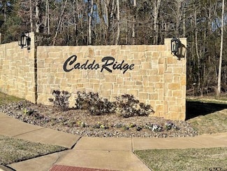 9291 Caddo Ridge Cove, Tyler, TX 75703