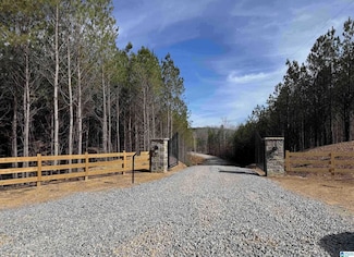 162 Heritage Pines Cir Unit 12, Columbiana, AL 35051