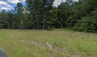 Tract 6 J B Swartz Rd, Wagener, SC 29164