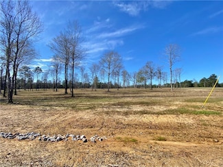 0 Sophie Ln Unit Lot 53 CN164389, Dry Prong, LA 71423