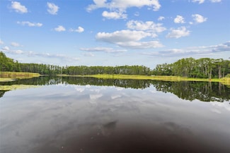 4540 Mitchell Rd, Land O Lakes, FL 34638