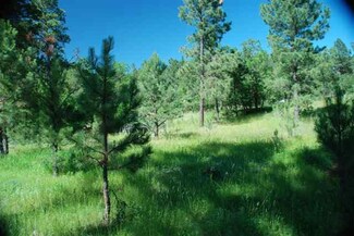 00x4 New Haven Rd, Hulett, WY 82720