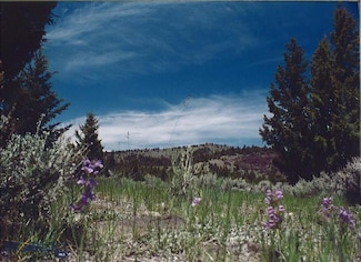 TBD Lookout Trail, Butte, MT 59701