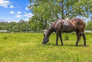 TBD 3 Fm 1632, Woodville, TX 75979