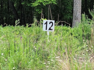 LOT 12 Belle Isle Dr, Union Hall, VA 24176