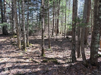 R1 38.1 Parsons Rd, Paris, ME 04281