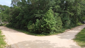 TBD Blue Quail Ln, Coldspring, TX 77331