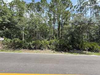 180 Millican Rd, Palatka, FL 32177