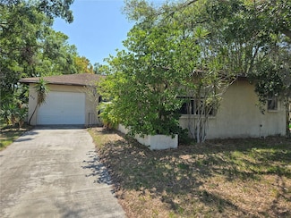 809 Green Valley Rd, Palm Harbor, FL 34683