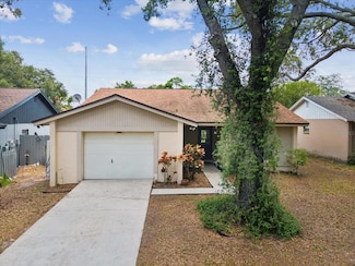1791 Lakeview Village Dr, Brandon, FL 33510