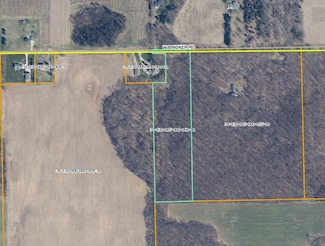 10950 W Bricker Rd, Belding, MI 48809