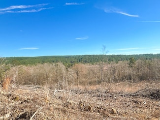 0 Pine Mountain Rd, Newhope, AR 71959