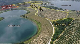 1123 Basket Lake Rd, Avon Park, FL 33825