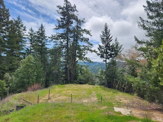 4255 Blackhawk Dr, Willits, CA 95490