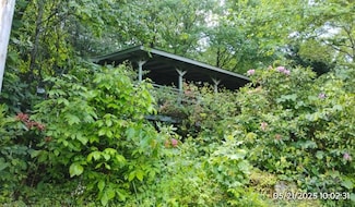 33 Horse Cove Rd, Canton, NC 28716