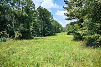 Edford Reese Rd, Gibson, GA 30810