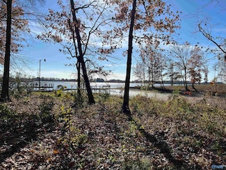 Lot 14-B County Road 671, Cedar Bluff, AL 35959