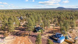 3851 W Coyote Dr, Pinetop-Lakeside, AZ 85929