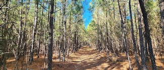 0 Shepherds Rd, Partlow, VA 22534