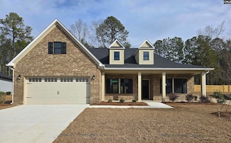 319 Murray Falls Ln, Chapin, SC 29036