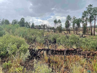 8 Movac Loop, Timberon, NM 88350