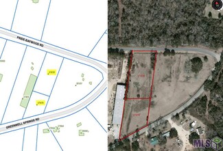 21830 Pride Baywood Rd, Clinton, LA 70722