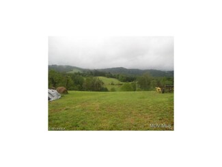 0 Nutter Fork Rd Unit M233750, West Union, WV 26456