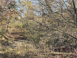 1165 Polk County Road 14, Wickes, AR 71973