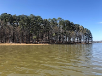 Lot 9 Little River Landing, Cedar Bluff, AL 35959